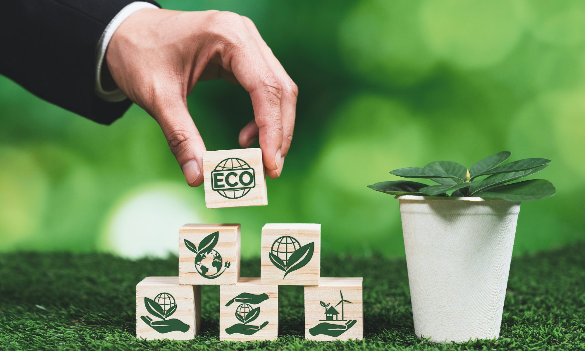 Why Green Initiatives and Sustainability Matter to Your Business