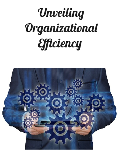 Unveiling Organizational Efficienc