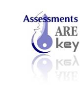 Harnessing the Power of Assessments for Business Growth